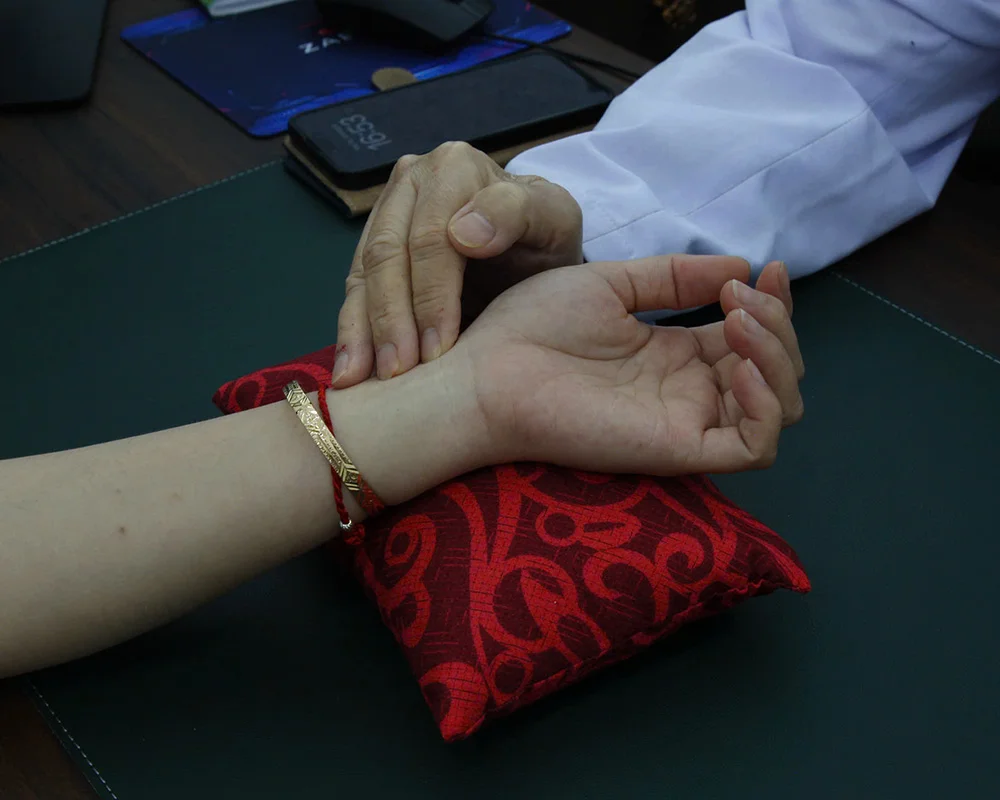 Mộc Tâm Y - Hoạt động 1