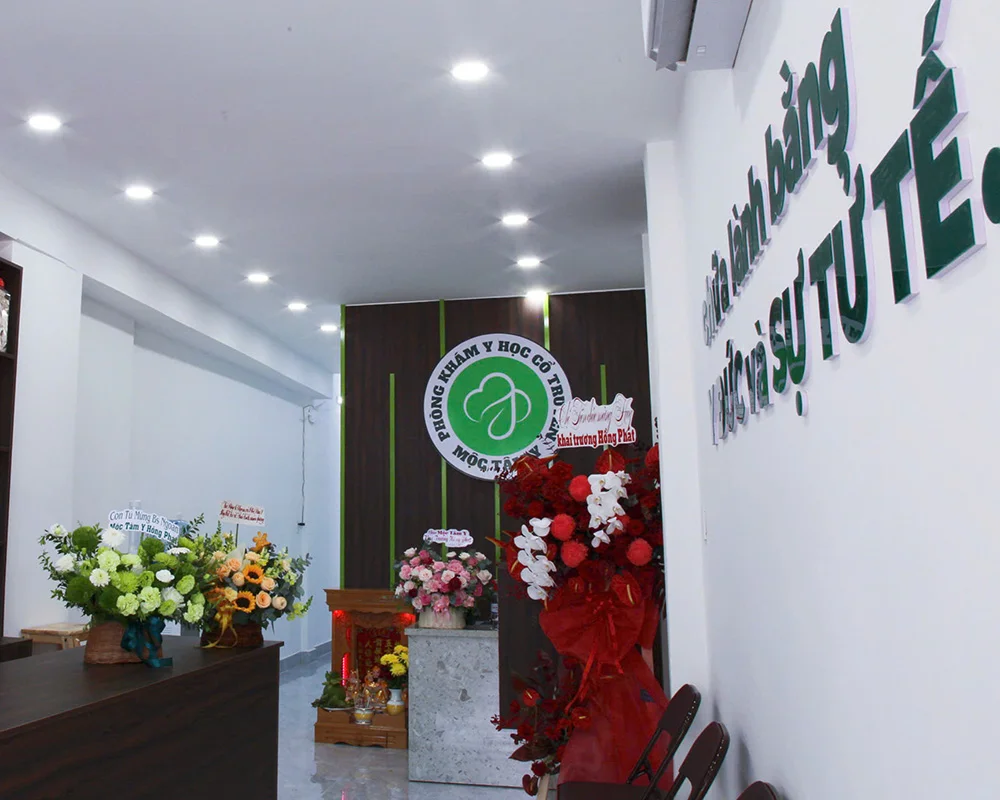 Mộc Tâm Y - Hoạt động 3