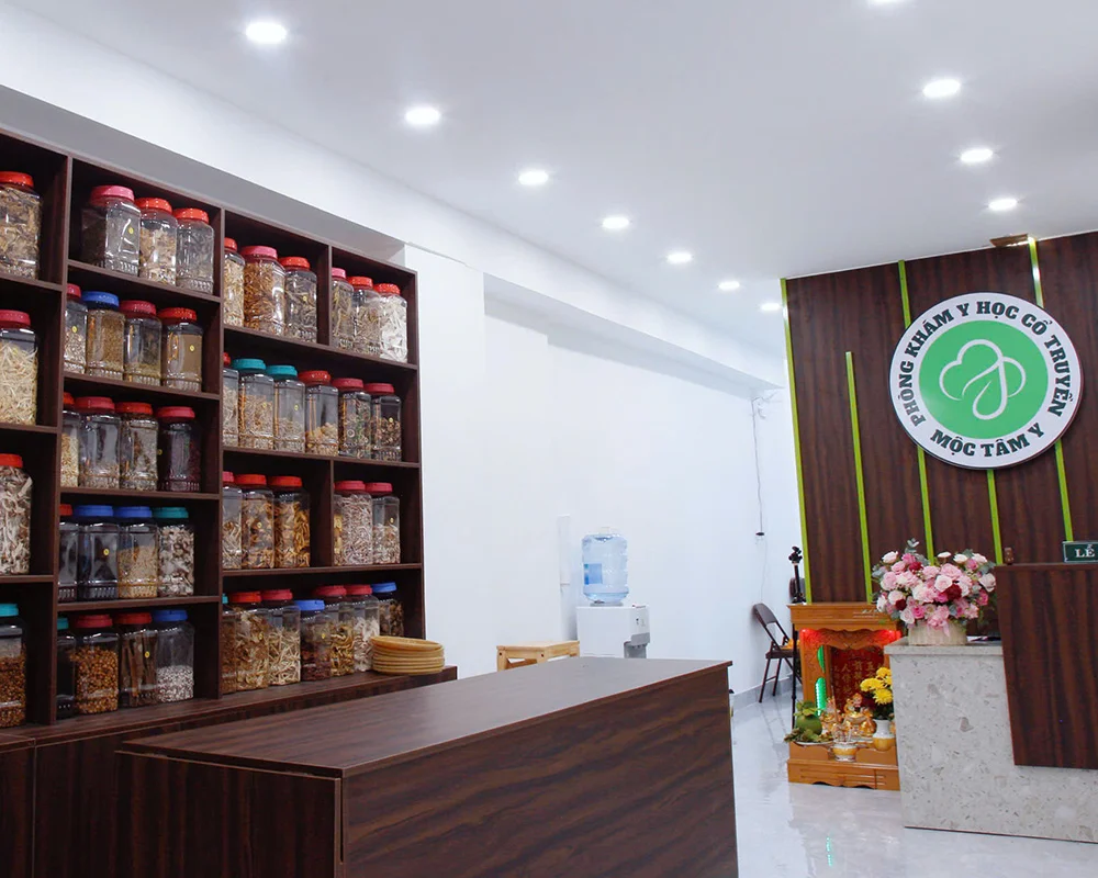 Mộc Tâm Y - Hoạt động 4